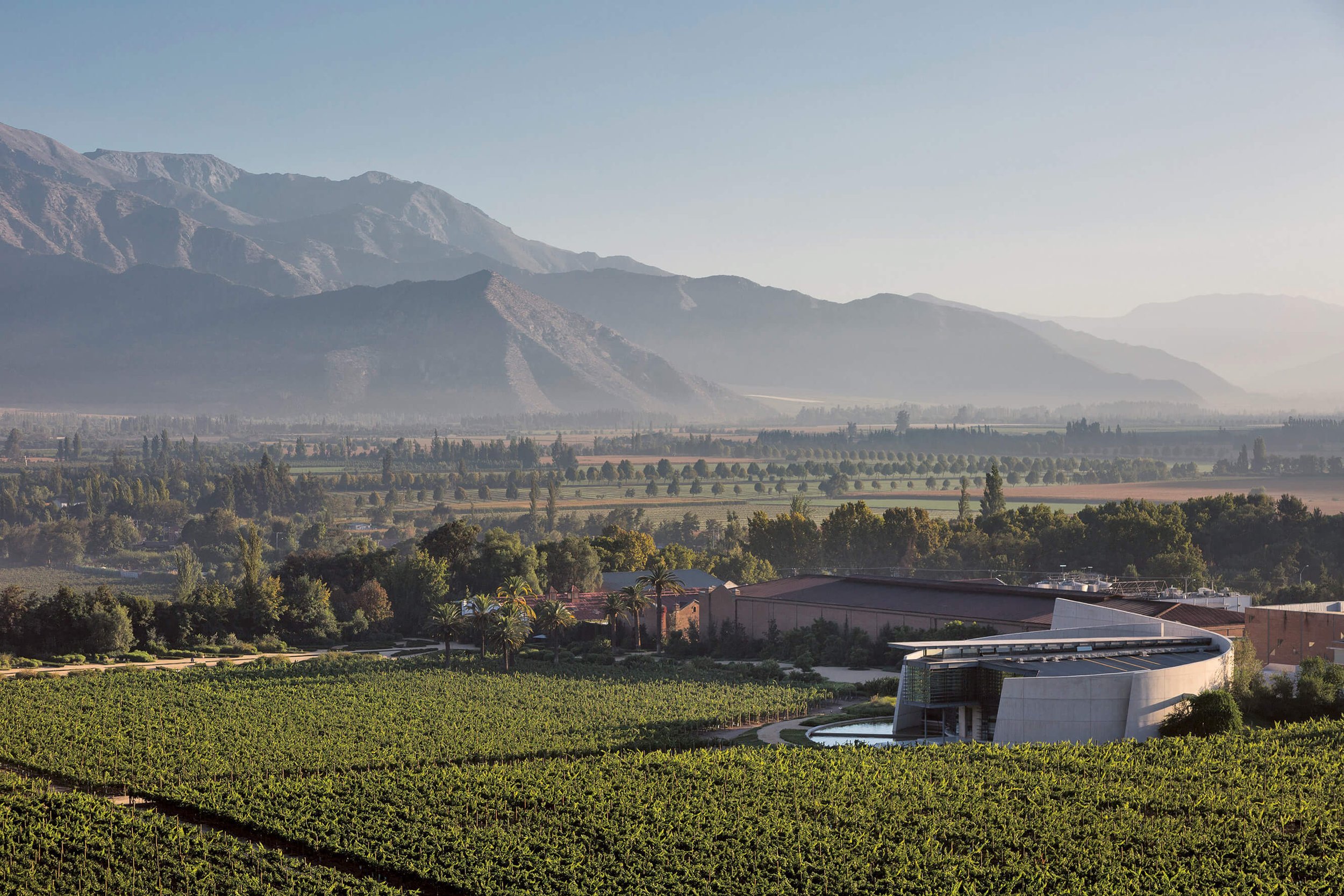 Driving Operational Efficiency and Cost Savings in the Wine Industry
