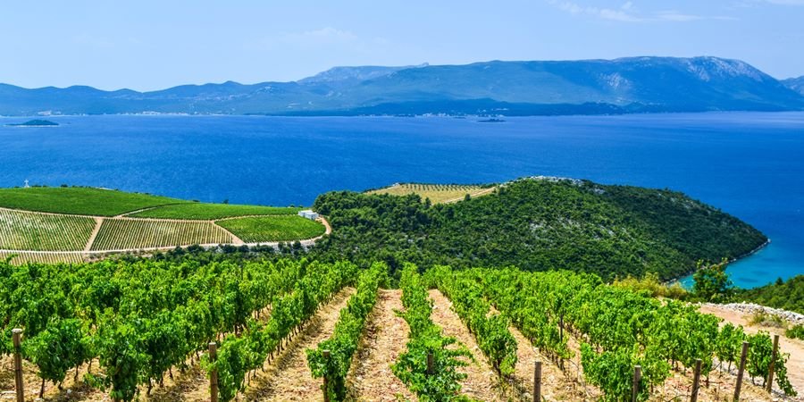 Advisory to a PE Fund entering the Wine industry in Europe
